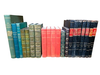 Lot 119 - Natural History.