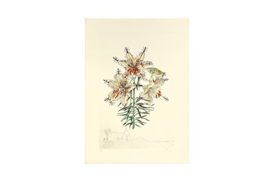 Lot 34 - SALVADOR DALI (SPANISH 1904-1989)