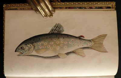 Lot 110 - Fishing.- Bainbridge (George Cole)