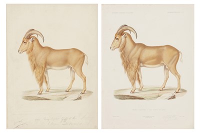 Lot 308 - JEAN CHARLES WERNER (FRENCH 1798-1856)