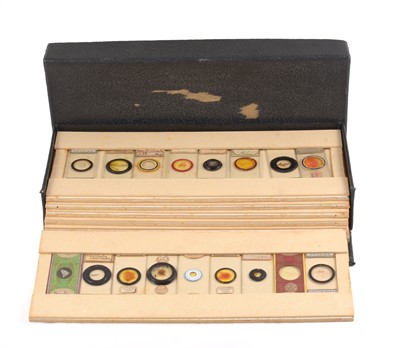 Lot 139 - A Storage Box of Mostly Coral & Other Marine Life Microscope Slides.