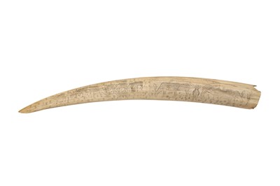 Lot 407 - A LARGE 19TH CENTURY SCRIMSHAW WALRUS TUSK