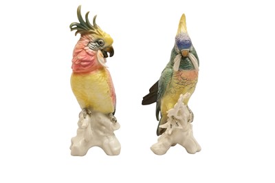 Lot 249 - A PAIR OF KARL ENS PORCELAIN PARROTS, 20TH CENTURY