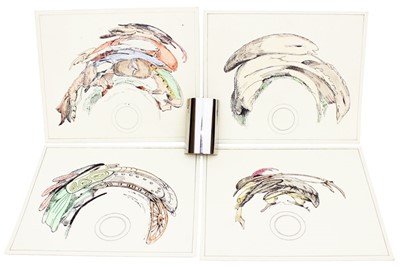 Lot 32 - A Selection Of Anamorphoscope Paintings