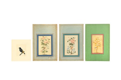 Lot 46 - FOUR ALBUM PAGE STUDIES OF BIRDS