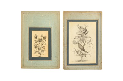Lot 45 - TWO ALBUM PAGE GRISAILLE FLORAL STUDIES