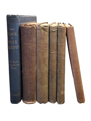 Lot 154 - Payne-Gallwey. Duck Decoys, etc.