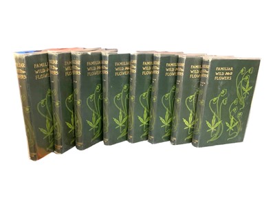 Lot 151 - Natural History.