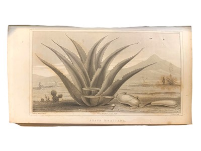 Lot 138 - Ward (Henry George) Mexico in 1827 his majesty's charge d'affaires in that country during the years 1825, 1826, and in part of 1827