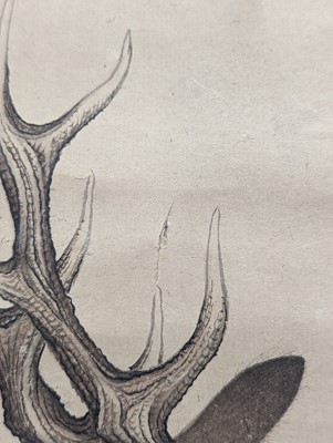 Lot 280 - MORI SOSEN (school of 1747 – 1821)