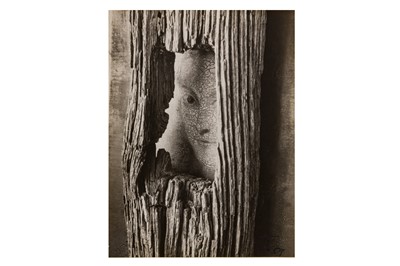 Lot 153 - André Kertész (1894-1985)