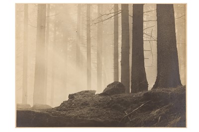 Lot 171 - Albert Renger-Patzsch (1897-1966)