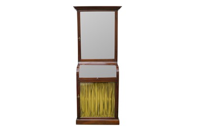 Lot 287 - AN EARLY 20TH CENTURY MAHOGANY DISPLAY CABINET
