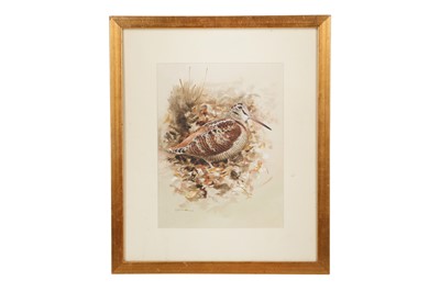 Lot 343 - RODGER MACPHAIL (BRITISH B. 1953)