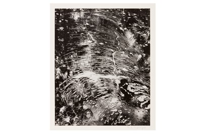 Lot 245 - Paul Caponigro (b.1932)