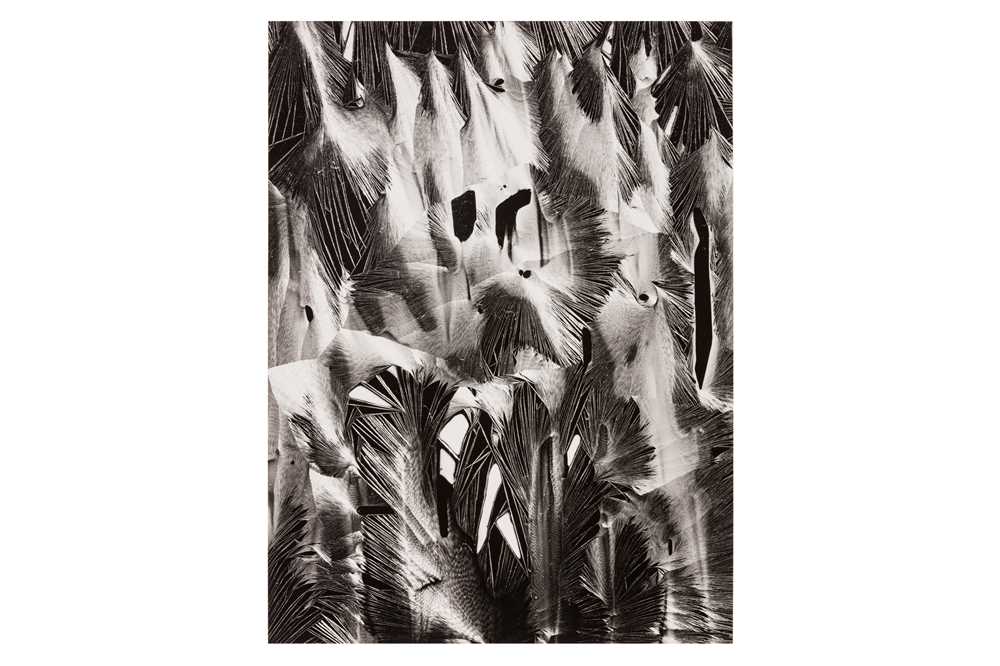 Lot 244 - Brett Weston (1911-1993)
