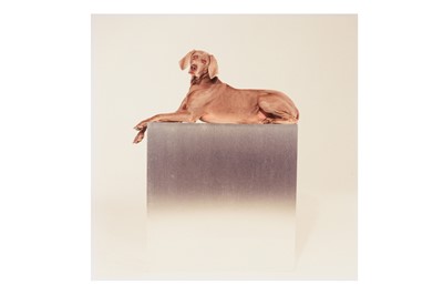 Lot 301 - William Wegman (b.1943)