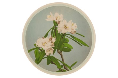 Lot 144 - Kazumasa Ogawa (1860-1929)
