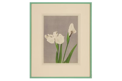 Lot 144 - Kazumasa Ogawa (1860-1929)