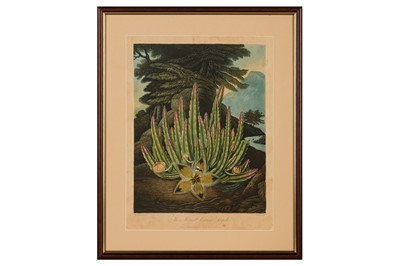 Lot 86 - Henderson (P. H., after) & Stadler (J. C.) The Maggot-bearing Stapelia