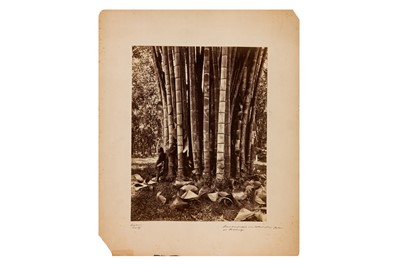 Lot 95 - Scowen and Co (Act. 1870s-1890s)