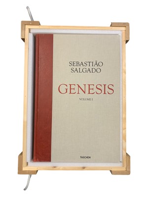 Lot 218 - Salgado (Sebastião) Genesis