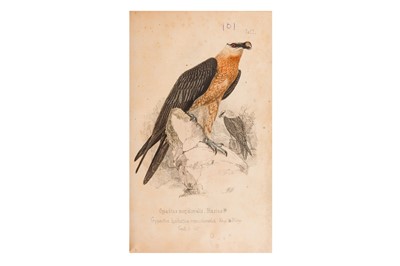 Lot 89 - Ruppell (Eduard) Systematische Übersicht der Vögel Nord-Ost-Afrikas