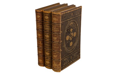 Lot 129 - Shakespeare (William) Works, The National Shakespeare Edition
