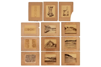 Lot 101 - Photographer Unknown c.1880s