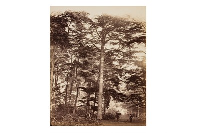 Lot 39 - James Sinclair (1821 - 1881) & William Bambridge (1819 - 1879)