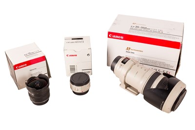 Lot 312 - Two Canon Lenses together with a Teleconverter