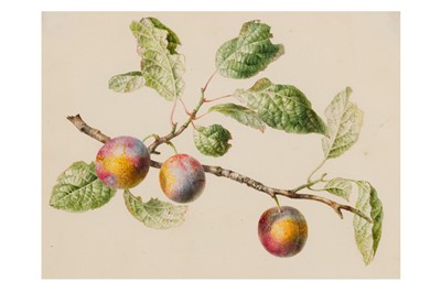Lot 123 - WILLEM HEKKING THE ELDER (AMSTERDAM 1796-1862 AMSTERDAM)
