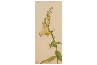 Lot 9 - PAVEL FYODOROVICH SCHWARZ (UKRAINIAN, 1875-1934)