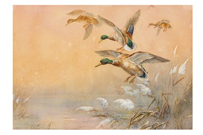 Lot 124 - WILLIAM E. POWELL (BRITISH 1878-1955)