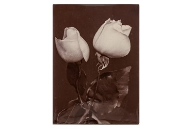 Lot 128 - Charles Jones (1946-1989)