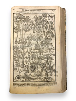 Lot 83 - Gardening.- John Parkinson