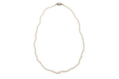 Lot 251 - A MIKIMOTO CULTURED PEARL NECKLACE