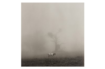 Lot 323 - Rex Dupain (b.1954)