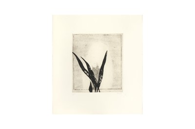 Lot 15 - PRUNELLA CLOUGH (BRITISH 1919-1999)