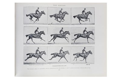 Lot 122 - Eadweard Muybridge (1830-1904)