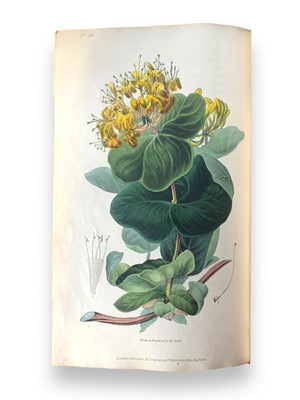 Lot 161 - Flora.- Morris (Richard) Flora Conspicua