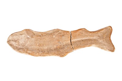 Lot 168 - A Fossilised Fish imprint, believed Triassic Period, Circa 252 to 201 million years old
