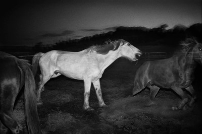 Lot 333 - Trent Parke (b.1971)