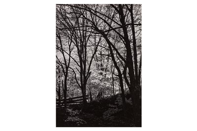 Lot 161 - George Tice (b.1938)