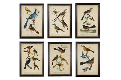 Lot 250 - SIX ORNITHOLOGY PRINTS AFTER ALEXANDER WILSON
