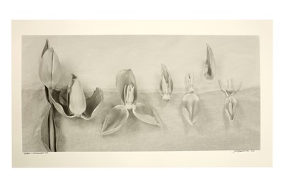 Lot 532 - John Blakemore (b.1936)