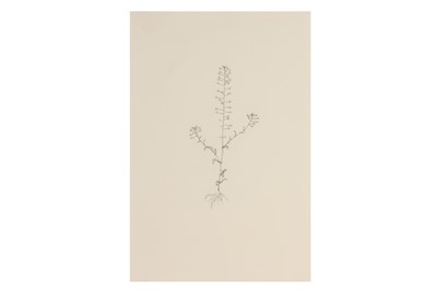 Lot 181 - MICHAEL LANDY CBE RA (BRITISH B.1963)
