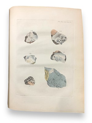 Lot 77 - Botany and Periodicals