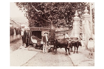 Lot 50 - MADEIRA, PORTUGAL, late 19th century