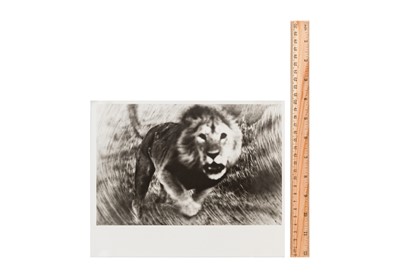 Lot 347 - Peter Beard (1938-2020)